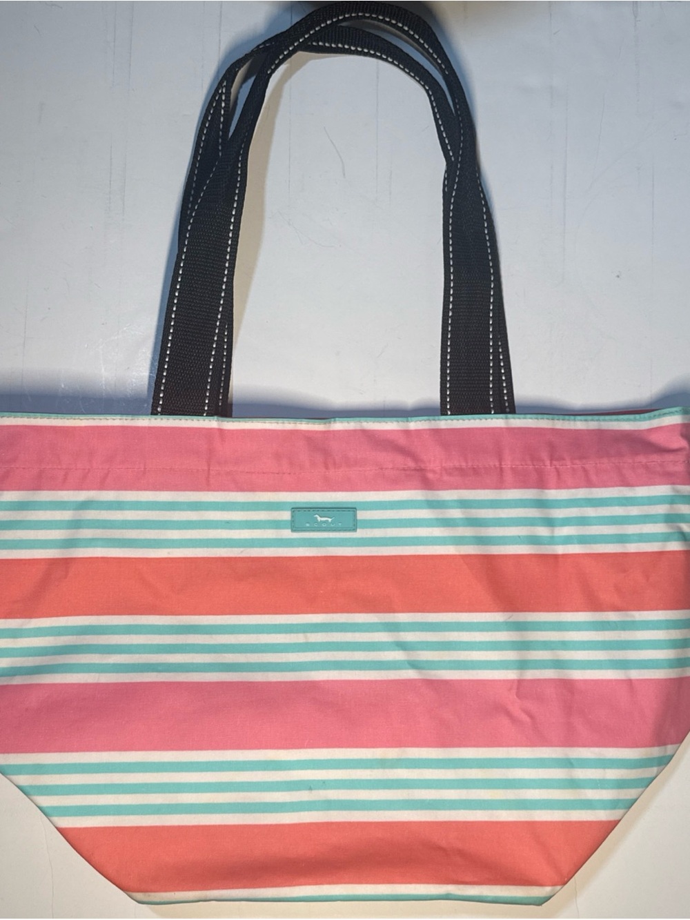 Scout “sol surfer”Coral, Striped Canvas Tote with Black Handles